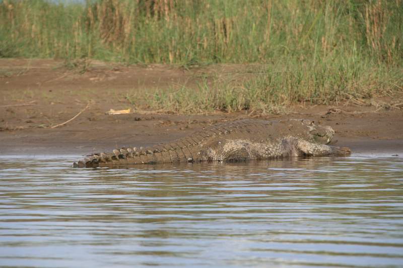 India & Nepal 2011 - 0582